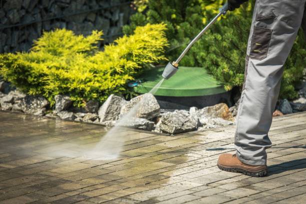 Animal Enclosure Cleaning in Sprague, WV