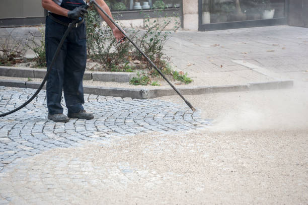 Best Fence Cleaning  in Sprague, WV